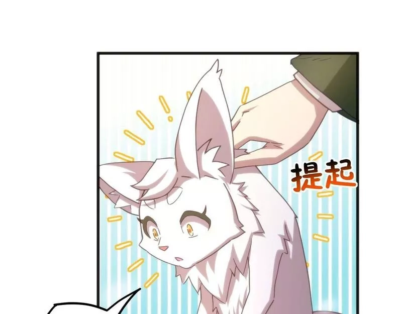 我的卡牌无限强化,第4话 强化小狐狸,第53张
